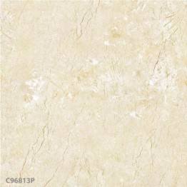 Gạch lát sàn Trường Thịnh MIXSTONE C96813P